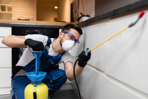 Best Exterminator Services  in Malta, IL