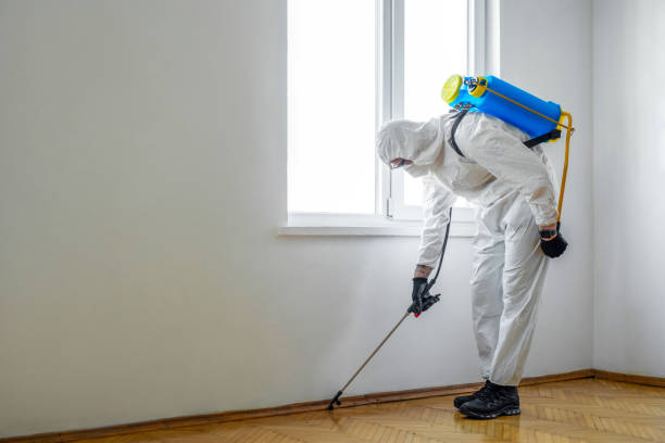 Best Commercial Pest Control Services  in Malta, IL