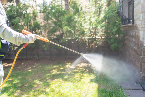 Best Cockroach Control Services  in Malta, IL