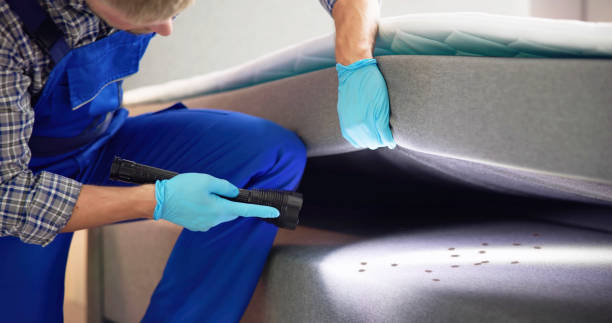 Best Pest Control for Restaurants  in Malta, IL