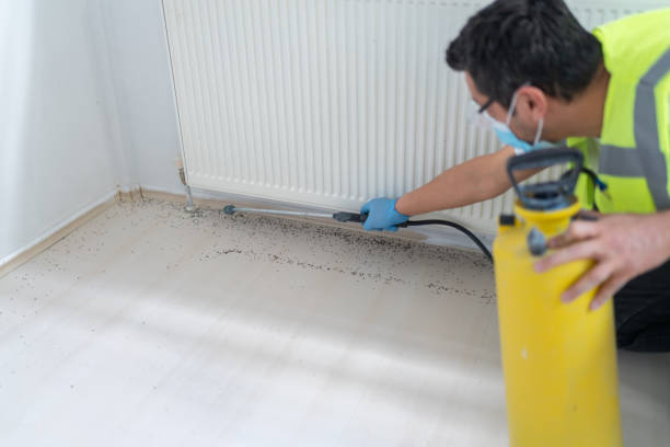 Best Ant Control Services  in Malta, IL